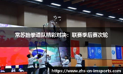 常苏跆拳道队精彩对决:联赛季后赛次轮